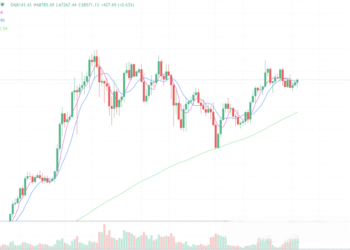 2024年6月3日的比特币行情