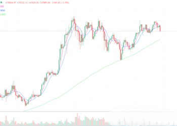 2024年6月11日的比特币行情
