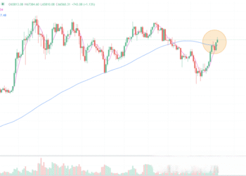 2024年7月20日的比特币行情