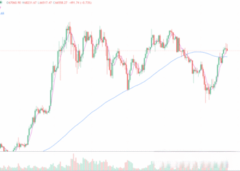 2024年7月23日的比特币行情