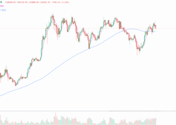 2024年7月30日的比特币行情