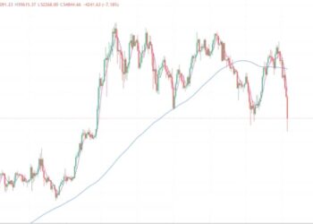 2024年8月5日的比特币行情
