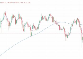 2024年8月12日的比特币行情