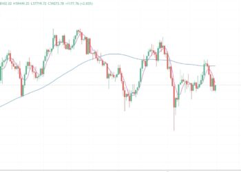 2024年8月31日的比特币行情