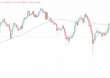 2024年9月2日的比特币行情