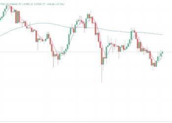 2024年9月13日的比特币行情
