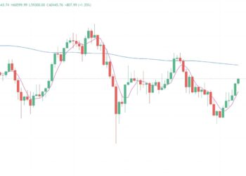 2024年9月14日的比特币行情