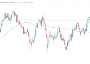 2024年10月23日的比特币行情
