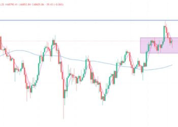 2024年11月5日的比特币行情