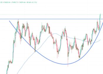 2024年11月8日的比特币行情