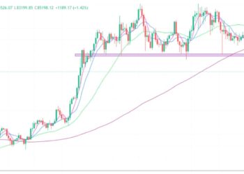 2025年3月1日的比特币行情