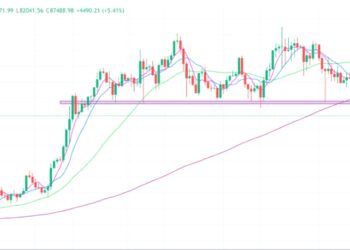 2025年3月5日的比特币行情
