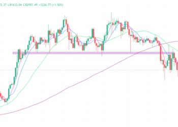2025年3月13日的比特币行情