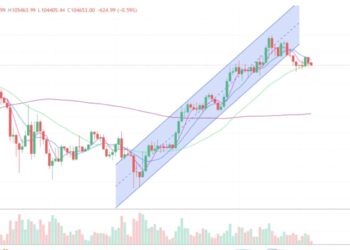 2025年6月5日的比特币行情