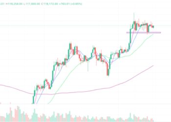 2025年7月30日的比特币行情