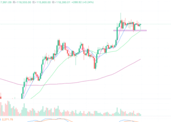 2025年7月31日的比特币行情