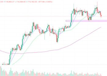 2025年8月19日的比特币行情