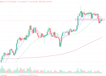 2025年8月5日的比特币行情