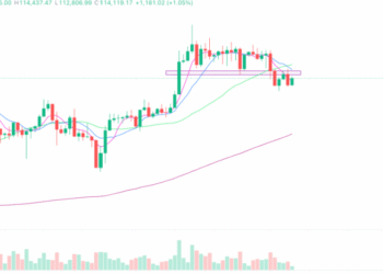 2025年8月8日的比特币行情