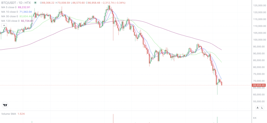 2026年2月11日的比特币行情